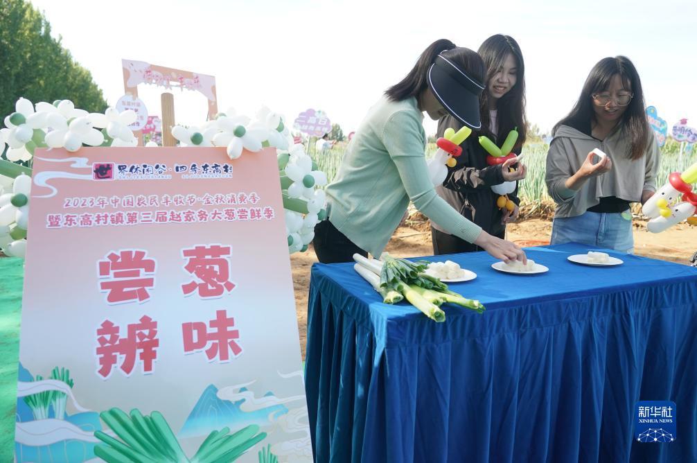 连环夺宝打小分